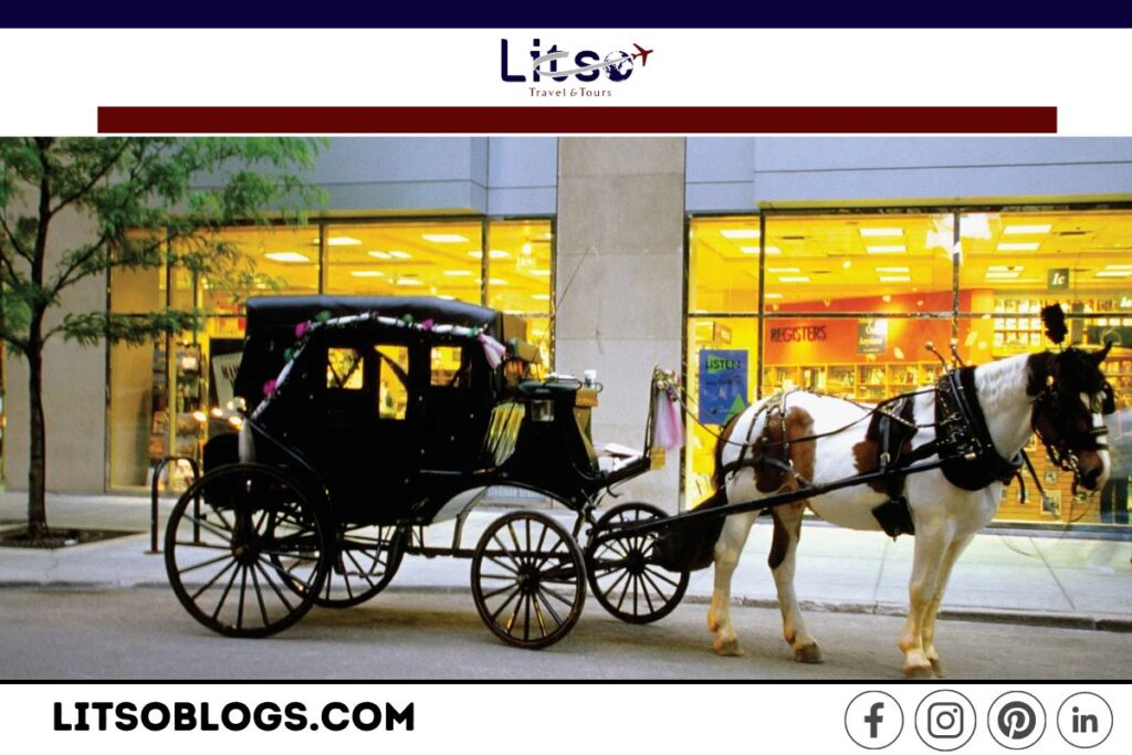 horse-drawn-carriage