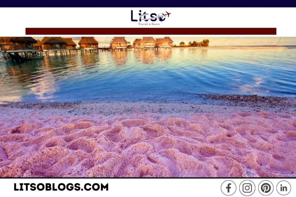 pink-sand-beach